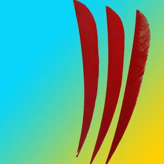 Red Turkey Feathers Drop Shape for 70 80cm Arrows 20pcs