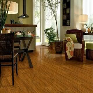 12MM Armstrong TIGERWOOD L3027 wood laminate floors w/  