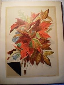 1883 Indian Summer Autumn Poems Sketches L Clarkson