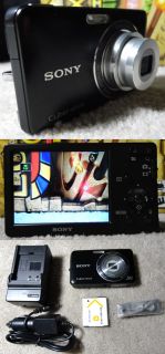 Sony Cyber Shot DSC W310 12 1 MP Digital Camera Black