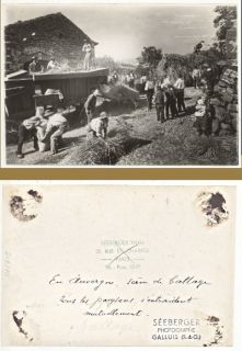Harvest Time Auvergne Moissons Old Seeberger Photo 1930
