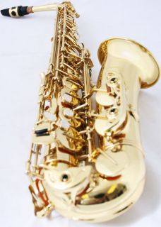 New Band Aprvd Brass Alto EB Saxophone Case Warranty