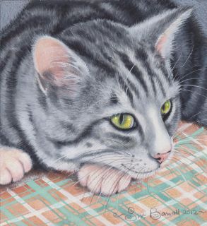 Original painting of a Grey Tabby Cat Resting by Sue Barratt