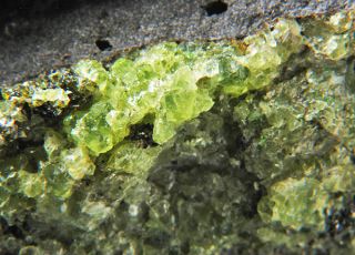 Peridot Olivine in Basalt Arizona Minerals Crystals Gems Rocks 