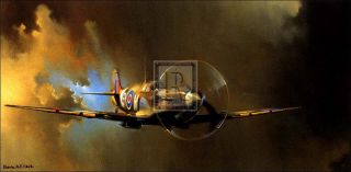 Barrie Clark Spitfire RAF Fighter Large Print Copy