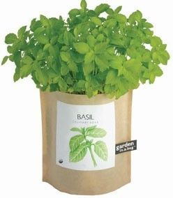 Grow Your Own Basil Herb Plant Organic Seed Growing Garden Bag Gift 