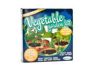 DuneCraft Grow Your Own Garden Kits   Vegetable and Hummingbird Bundle