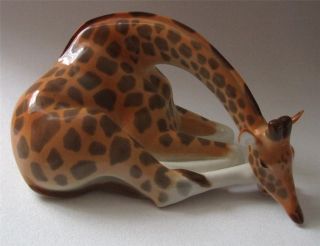 lomonosov russian large porcelain giraffe  117 27