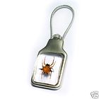 NATURE KEY RING INSECT ENCASED AMBER ALLOY Size 1 1 1 2 inch