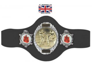   CHAMPIONSHIP BELT  KICK BOXING/CAN BE CUSTOMISED/FRE​E ENGARVG(286