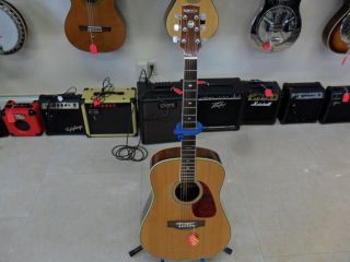 samick artist series 6 string acoustic guitar 