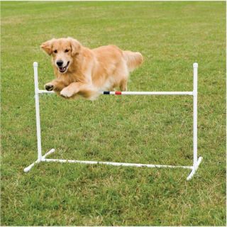 PetSafe Dog Agility Bar Hurdle Obstacle Jump Training
