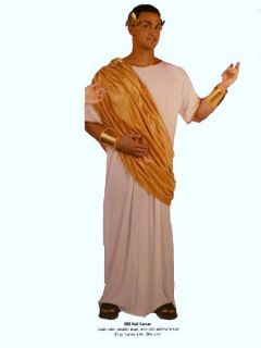Adults Hail Caesar Roman Fancy Dress Costume One Size