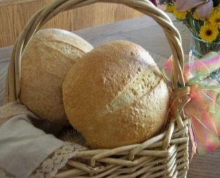 Sourdough Starter San Francisco Artisan Bread Recipes