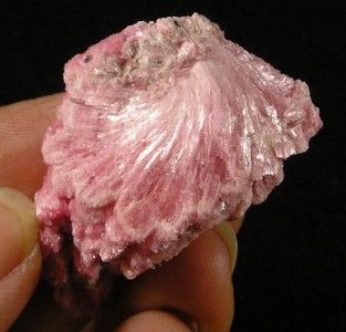 Rhodonite Crystal Cluster Mineral Specimen Deep Pink 4 1cm 30 2G Peru 