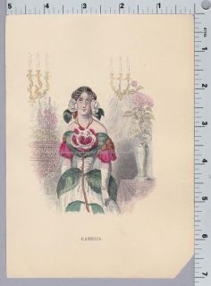camelia flower woman book vintage plate print