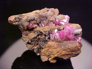 SUPERB Adamite Crystal Cluster OJUELA, MEXICO  Ex. Nikischer