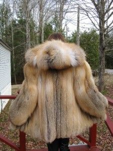Fabulous Golden Island Fox Fur Coat Parka Stroller with A Hood 10 12 L 