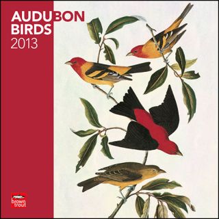 Audubon Birds 2013 Wall Calendar