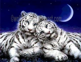 Silver Moon White Tiger Print Reflective Foil Art Soulmates Great Gift 