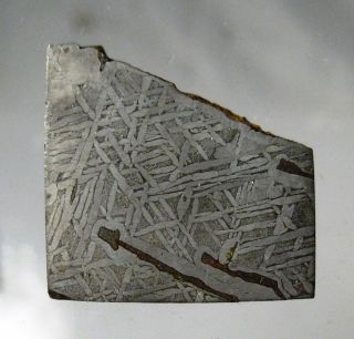 Bear Creek meteorite slice   16.2 grams   Colorado iron rare