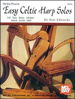 fun with the folk harp want to get started playing the harp this book 