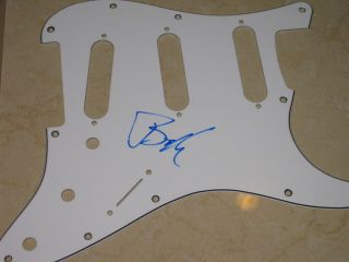 Billie Joe Armstrong Signed Green Day Fender Guitar Pickguard Proof 