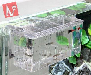   divider tank for fish breeding shrimps fry hatchery tank betta trap
