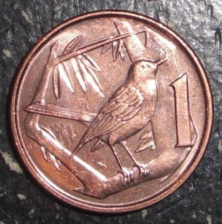 Cayman Islands 1 Cent Great Cayman Thrush Bird Coin