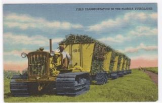 Bulldozer Sugar Cane Field Florida Everglades Postcard
