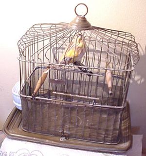 Brass Bird Cage With Accessories by OL Co of New York Scarce