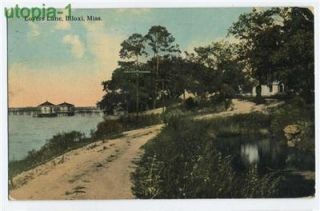 Biloxi Mississippi Lovers Lane postcard 1913