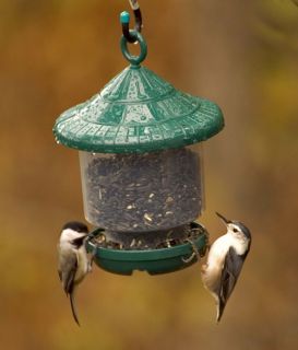 wild bird feeder for clingers only green easy to fill