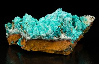   Turquoise Rosasite Botryoidal Crystal Mounds Mexico for Sale