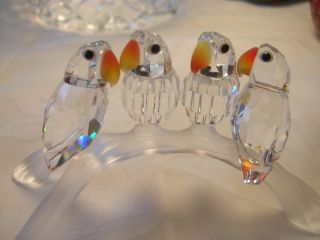 Four Swarovski Crystal Baby Lovebirds sitting on a frosted crystal 