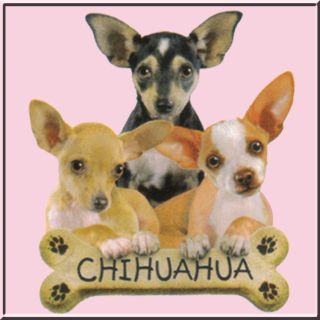 Chihuahua Puppies Dog w Bone French Terry Jacket Pink