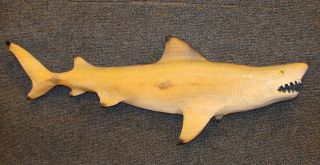 Chainsaw Carving Lemon Shark Carved White Sand Tiger Black Tip Jaws 