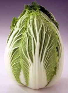 500 Michihili Cabbage Chinese Vegetable Bok Choy Seeds