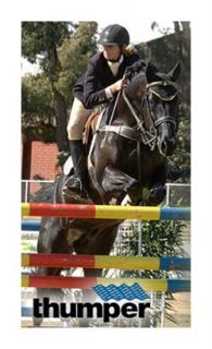 Thumper Athlete Equine Professional Horse Body Massager