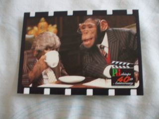 Brooke Bond Tea Cards 40 Years of The Chimps Nos 21 40 Buy 