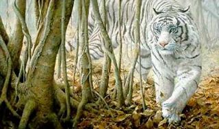 Softly Softly White Tiger John Seerey Lester New