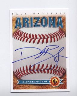 2010 Arizona Fall League Auto Card David Bromberg Twins