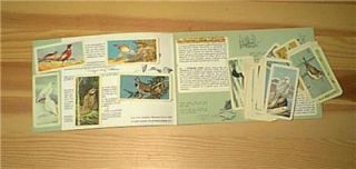 Res Rose Tea Cards Brooke Bond Series 4 Birds of North America with 