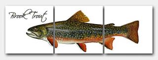   tiled mural features the artwork Brook Trout by Duane Raver/USFWS