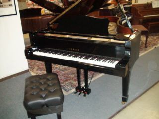 Yamaha 74 Model C7 Semi Concert Grand Piano MAGNIFICENT  BHA
