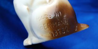 Porcelain Bully Dog Old English Bulldog w Teeth Showing Germany 