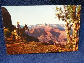 Neill Butte. Grand Canyon National Park. Fine vintage scene. Unused 