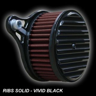   Air Cleaner for All Big Twin Cam Screaming Screamin Eagle