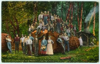Leisure Hour Logging Camp Washington Oregon Postcard