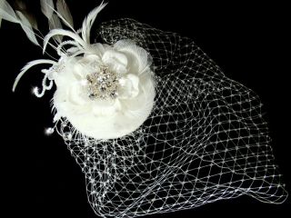 Head Piece Fascinator Wedding Bird Cage Veil Bridal